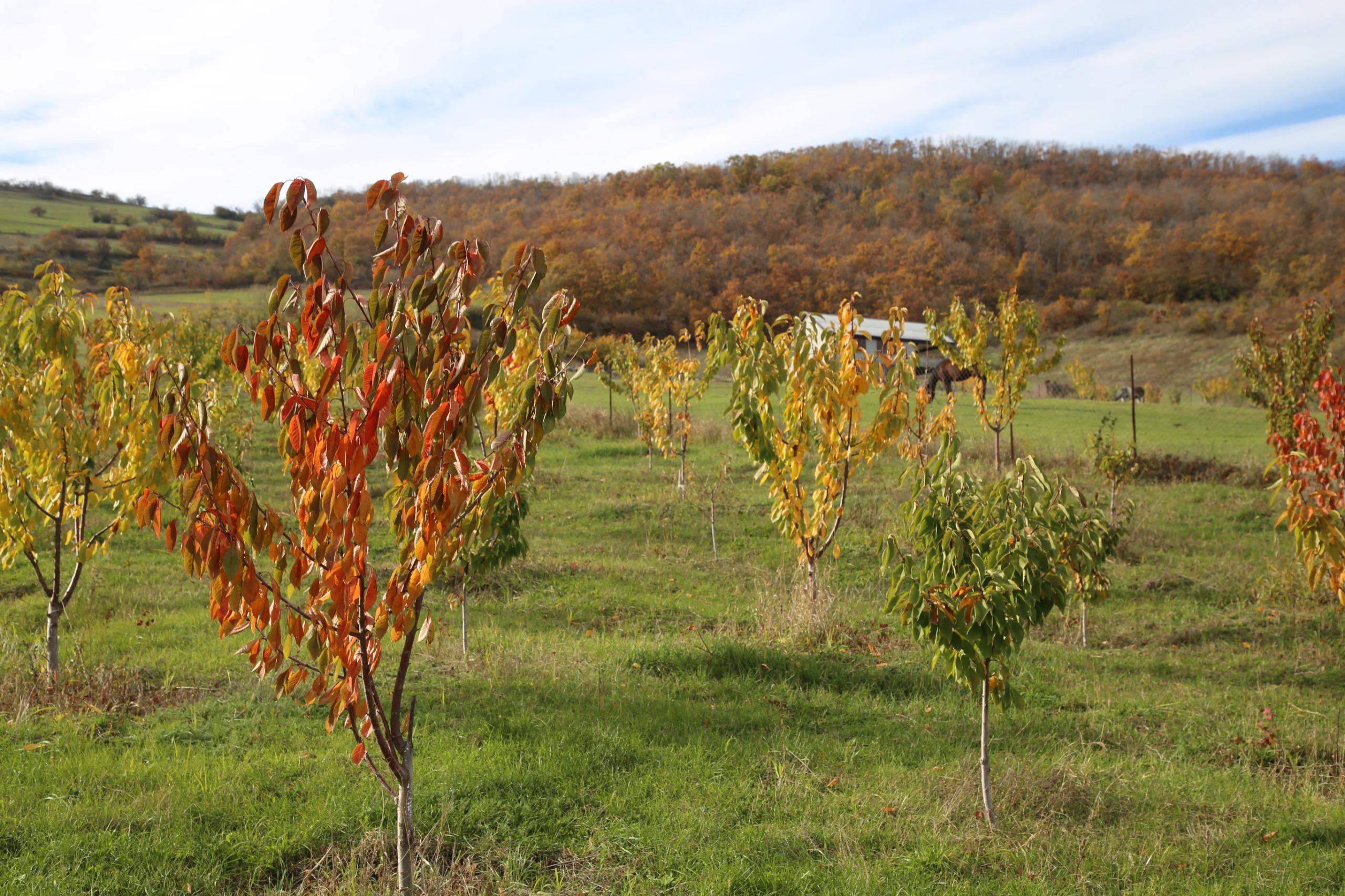 Сотрудники Минэкономразвития проверили ход реализации программы развития горных территорий в Казбековском районе